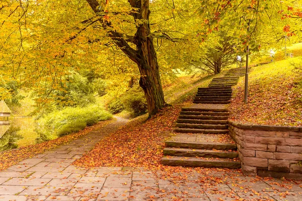 秋の風景バーデン バーデン ヨーロッパだ ドイツ — ストック写真
