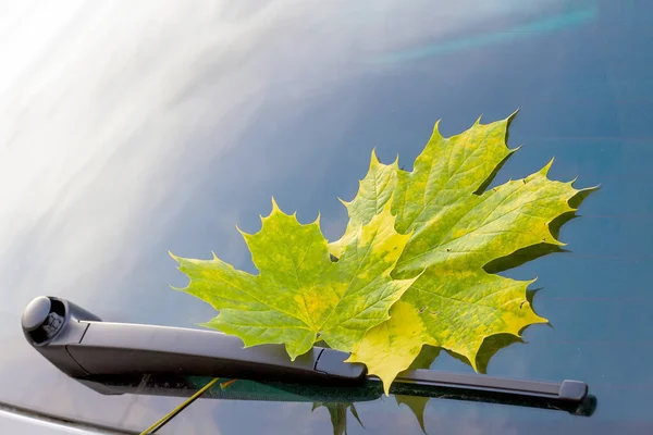 Pára Brisas Carro Com Folhas Outono — Fotografia de Stock