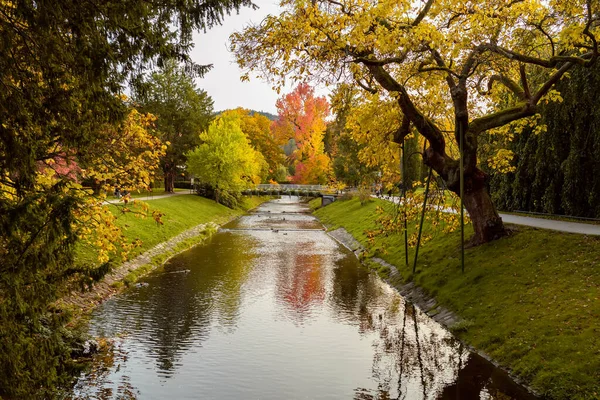 Paisaje Otoñal Baden Baden Europa Alemania — Foto de Stock