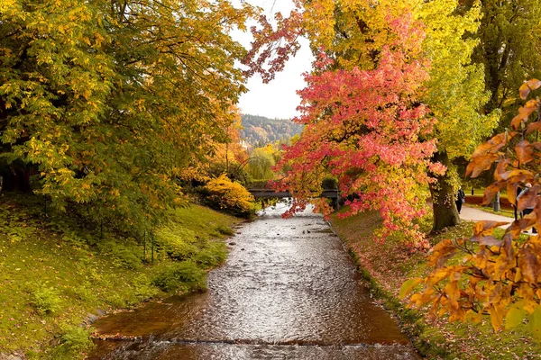 秋の風景バーデン バーデン ヨーロッパだ ドイツ — ストック写真