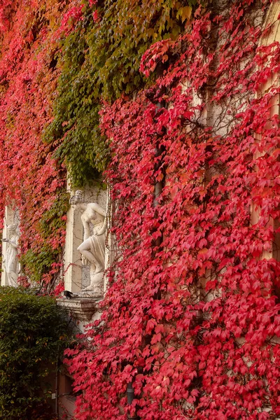 Paesaggio Autunnale Baden Baden Europa Paesi Bassi — Foto Stock