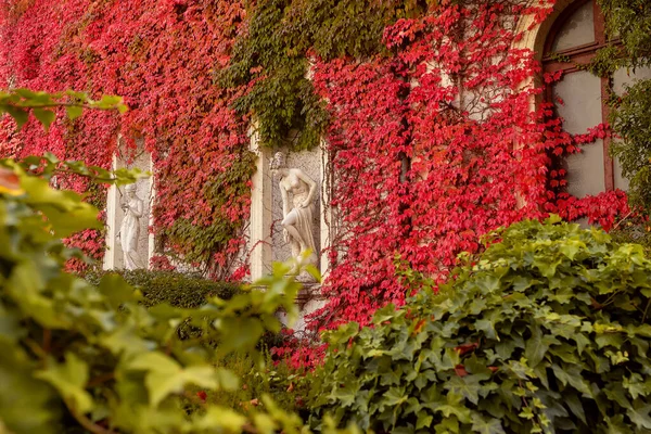 Podzimní Krajina Baden Baden Evropa Německo — Stock fotografie
