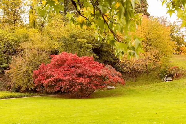 Paisaje Otoñal Baden Baden Europa Alemania — Foto de Stock