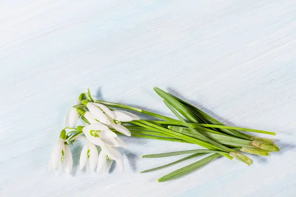 Buquê Nevascas Primavera Uma Mesa — Fotografia de Stock