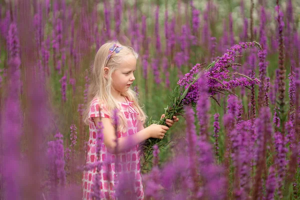 Menina Campo Com Flores Silvestres — Fotografia de Stock