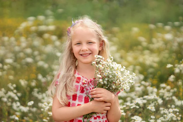 Маленька Дівчинка Полі Польовими Квітами — стокове фото