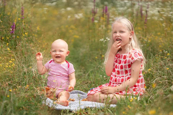 Broer Zus Picknicken Het Veld — Stockfoto