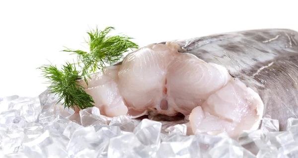 Eel fillet. Isolate on white background — Stock Photo, Image