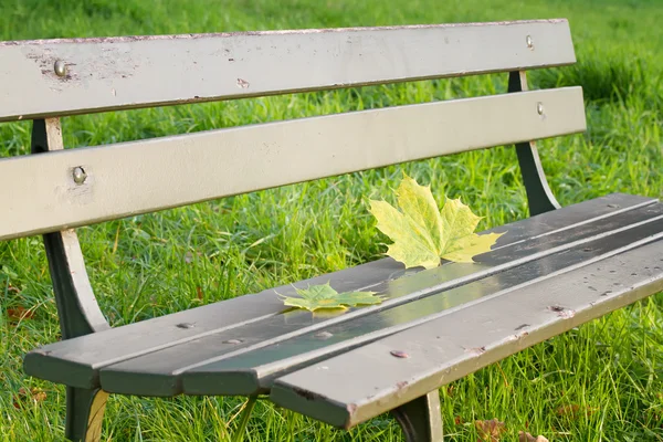 Feuilles d'automne sur un banc de parc — Photo