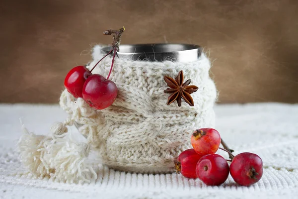 Coupe en couverture tricotée avec des pommes paradisiaques — Photo