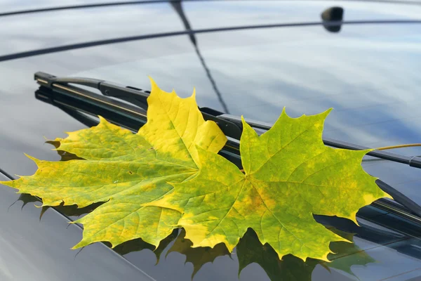 Folha de outono em um pára-brisa de carro — Fotografia de Stock