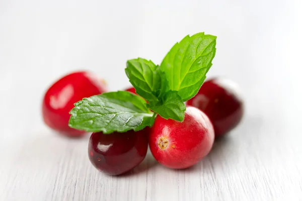 Frische Preiselbeeren aus nächster Nähe. geringe Schärfentiefe — Stockfoto