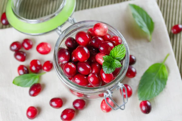 Cranberry segar close-up. Kedalaman kecil dari field — Stok Foto