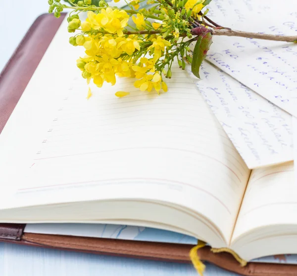 Cuaderno con rama de árbol floreciente . — Foto de Stock