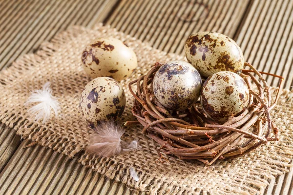 Huevos de codorniz en primer plano — Foto de Stock