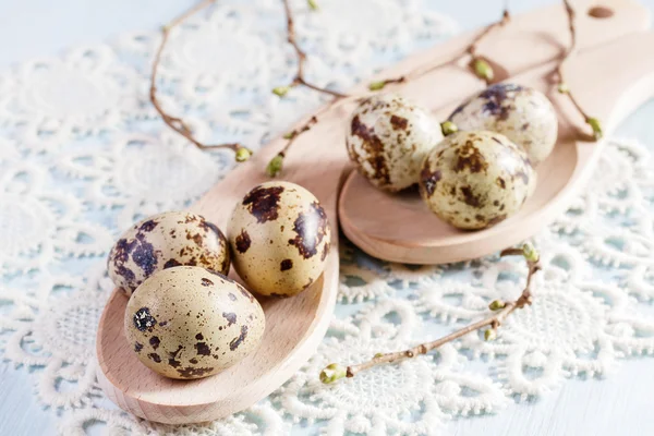 Kwartel eieren op houten achtergrond close-up. — Stockfoto