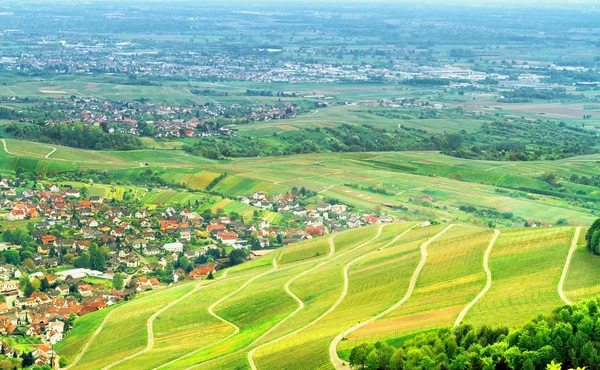 Вид на чёрный лес и типичную деревню. Германия. Европа . — стоковое фото