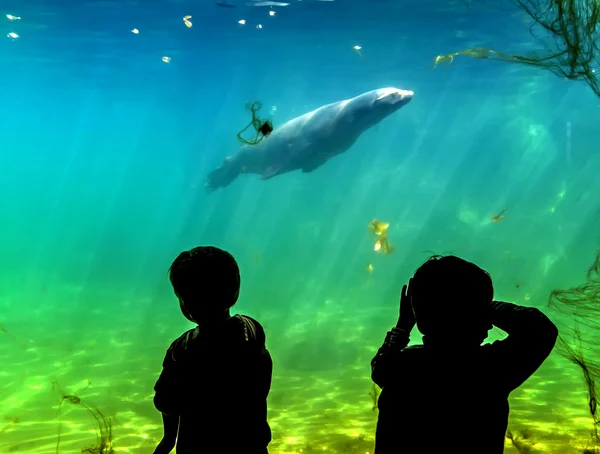 Силуэт детей на фоне большого аквариума — стоковое фото