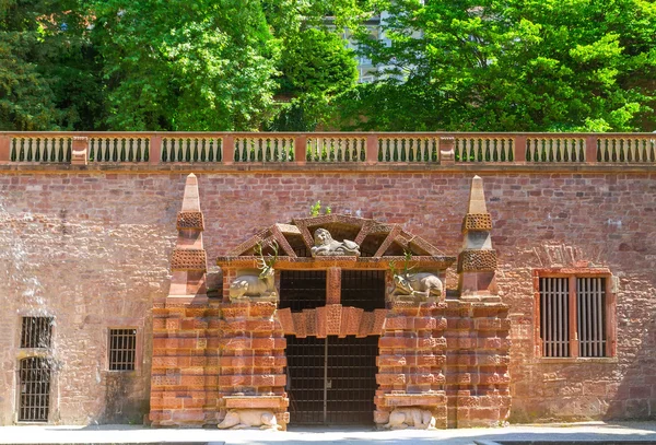 Heidelberg Castle. Entrance to the large grotto. Germany. Europe — Stock Photo, Image