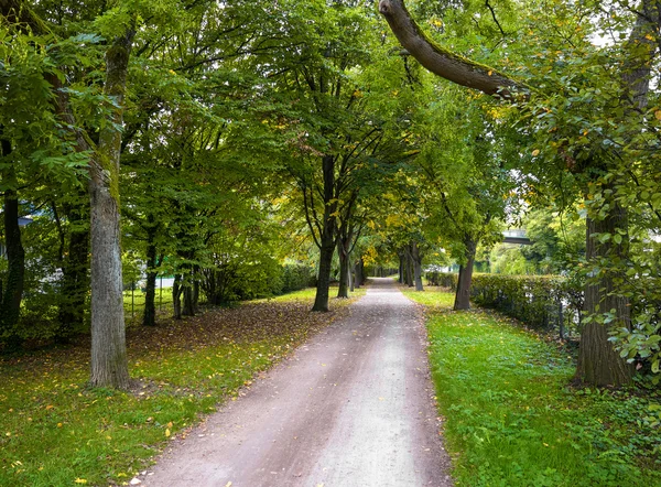 公園の路地。秋の始まり. — ストック写真