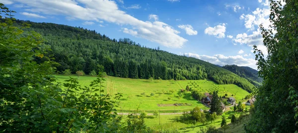 Panoramic view of the black forest in Baden-Baden. Germany. Euro — Stock Photo, Image