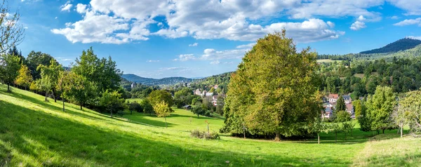 Panoramic view of the black forest in Baden-Baden. Germany. Euro — Stock Photo, Image