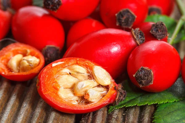 Primer plano de semillas y frutos de rosa mosqueta — Foto de Stock