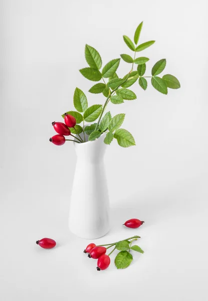 Nature morte avec des églantiers dans un vase blanc — Photo