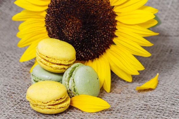 Bir sa zemin üzerine sarı ayçiçeği ile Fransız macarons — Stok fotoğraf