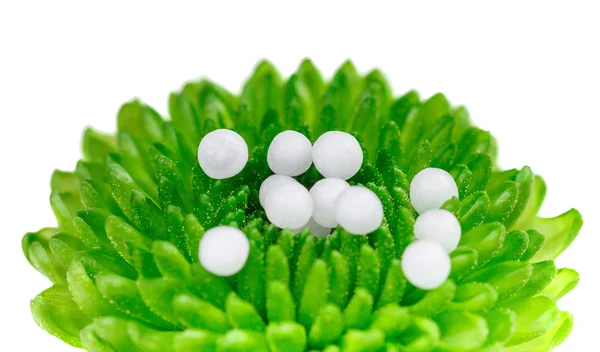 Homeopathische bolletjes op een groene plant — Stockfoto