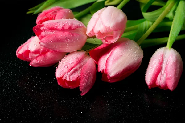 春天鲜花粉色郁金香花束在黑色背景上. — 图库照片