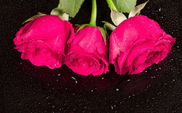 Buquê de três rosas com gotas de orvalho em um fundo preto — Fotografia de Stock