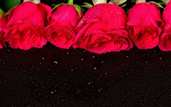 Buquê de rosas vermelhas com gotas de orvalho em um fundo preto — Fotografia de Stock