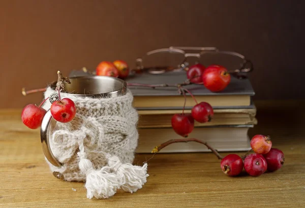 Natureza morta com livros e maçãs paradisíacas — Fotografia de Stock