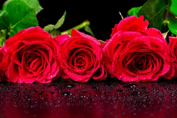 Strauß roter Rosen mit Tautropfen auf schwarzem Hintergrund — Stockfoto