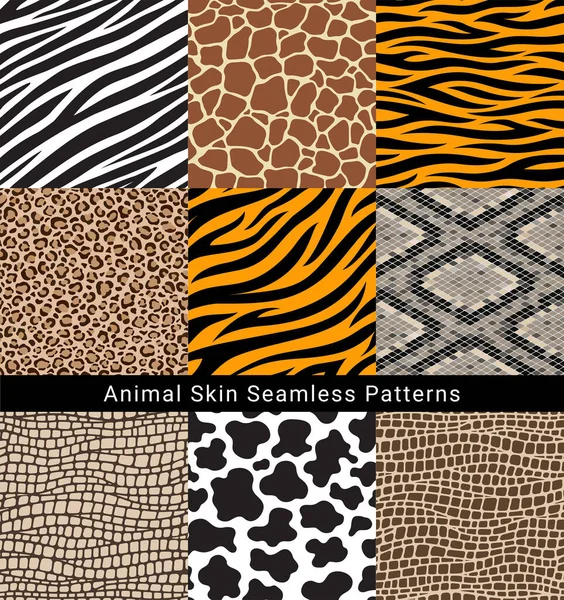 Animal Skin Seamless Patterns Vector Illustrations — Stock Vector