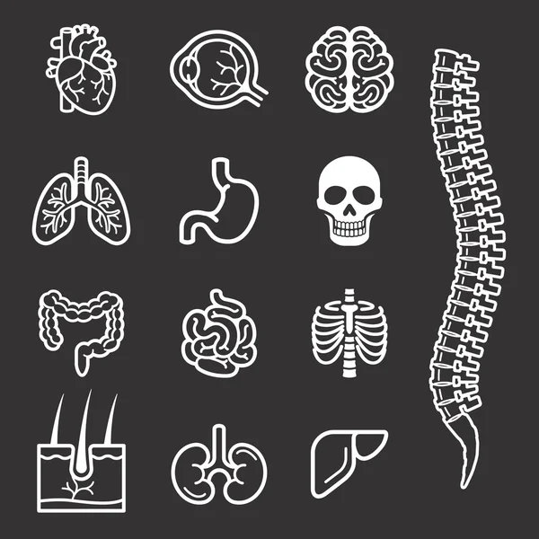 Architektur und Bauwerkzeug Symbole gesetzt. Vektorillustrationen. — Stockvektor