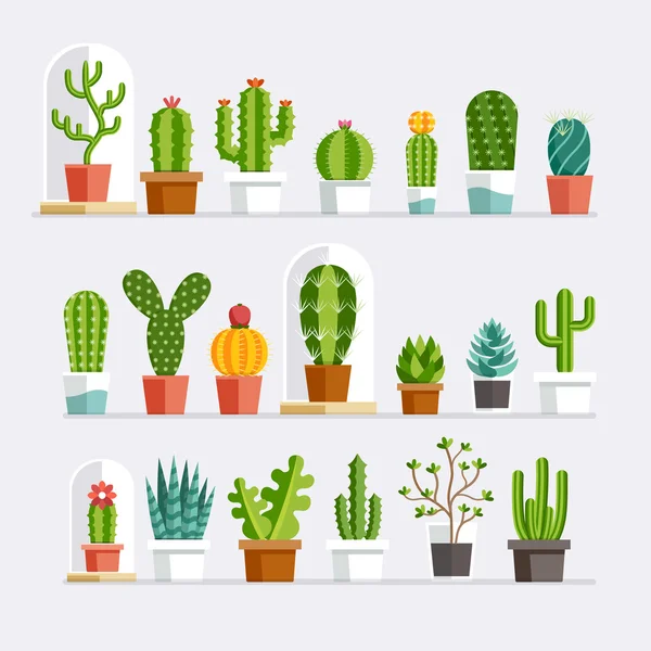 Cactus de estilo plano. Ilustración vectorial . — Vector de stock