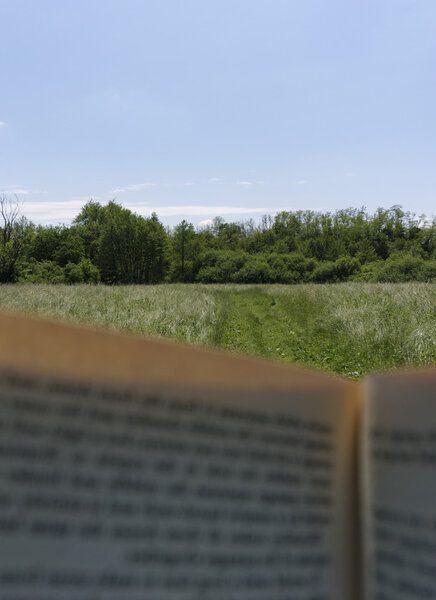 open book in the field