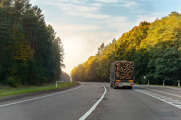 大きな木の松、トウヒ、青空の背景と高速道路の道路上で杉の運転と長い重工業木材キャリア貨物船トラックトレーラーのバックビュー。木材の輸出と輸送の概念 — ストック写真