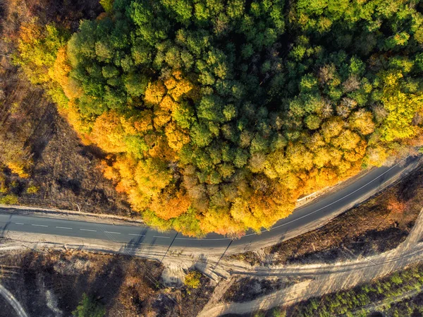 Aerial overhead top down bird eye drone view of asphlat rural country road winding over beautiful green to golden yellow foliage tree woods at day time fall autumn season. Nature trip and travel — Stock Photo, Image