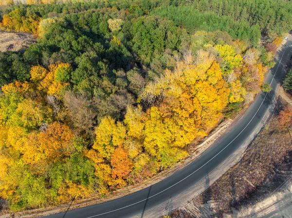 Aerial overhead top down bird eye drone view of asphlat rural country road winding over beautiful green to golden yellow foliage tree woods at day time fall autumn season. Nature trip and travel — Stock Photo, Image