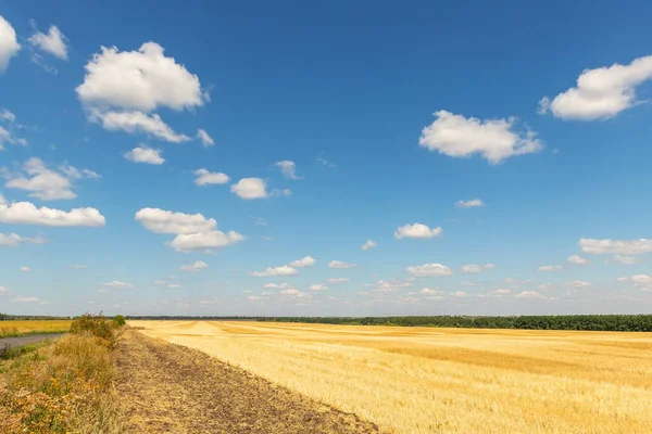 Väg motorväg nära skördade klippt gyllene vetefält på ljusa sommaren eller hösten dag mot pulserande blå himmel på bakgrunden. Jordbruksgult fält efter industrimaskiner arbetslandskap — Stockfoto