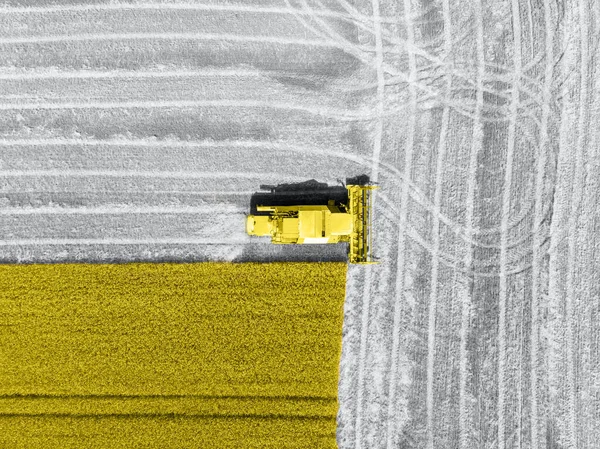 Aerial Drone Top View Big Powerful Industrial Combine Harvester Machine — Stockfoto