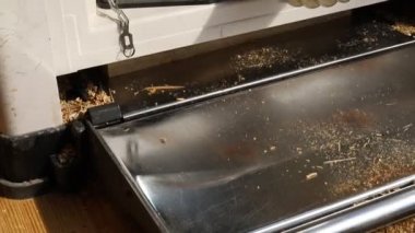 Marangozluk 'ta marangozluk ve modern profesyonel elektrikli aletler. Kalın planör, kıskaç, daire testere ve diğer ekipmanları kullanan bir adam. Hobi konsepti.