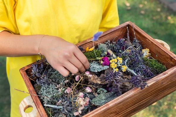 Närbild av tonåring kvinnlig person flicka som håller vintage handgjorda trälåda med uppsättning samling av torkade vilda blommor och ört. Kvinna samla sortiment växtbaserade medicinalväxter varm sommardag — Stockfoto