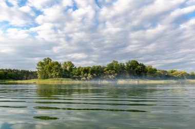 Bulutlu bir günde yeşil göl ya da nehir kıyısının sakin manzarası. Su, nehir ya da göl yüzeyinin yansıması. Orman arka planında dalgalanmalar var.