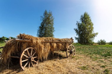 Parlak güneşli bir günde açık mavi gökyüzüne karşı yeşil çayır tarlasında saman yığını bulunan eski, eski, eski, ahşap ahşap bir at arabası. Eski taşıma çiftliği olan kırsal arazi manzarası