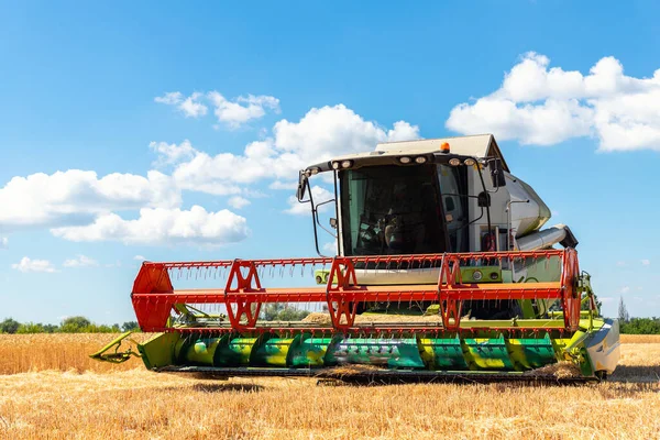 Scenic edessä näkymä Iso voimakas teollinen yhdistää harvesteri kone niittää kultainen kypsä vehnä viljapellolla kirkkaana kesä- tai syyspäivänä. Maatalouden keltainen kenttä koneet maisema tausta — kuvapankkivalokuva