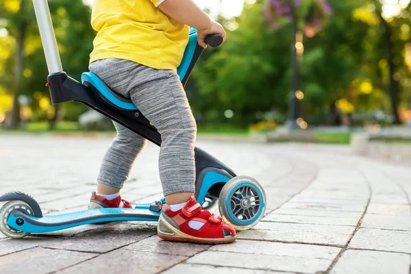 在城市公园或森林里玩三轮平衡跑车时，可爱可爱可爱的高加索幼儿男孩的下肢和下肢。儿童第一自行车。儿童户外运动 — 图库照片
